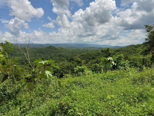 Thirteenth image of Copse, Lethe in Lethe, Hanover, Jamaica - property is For Sale