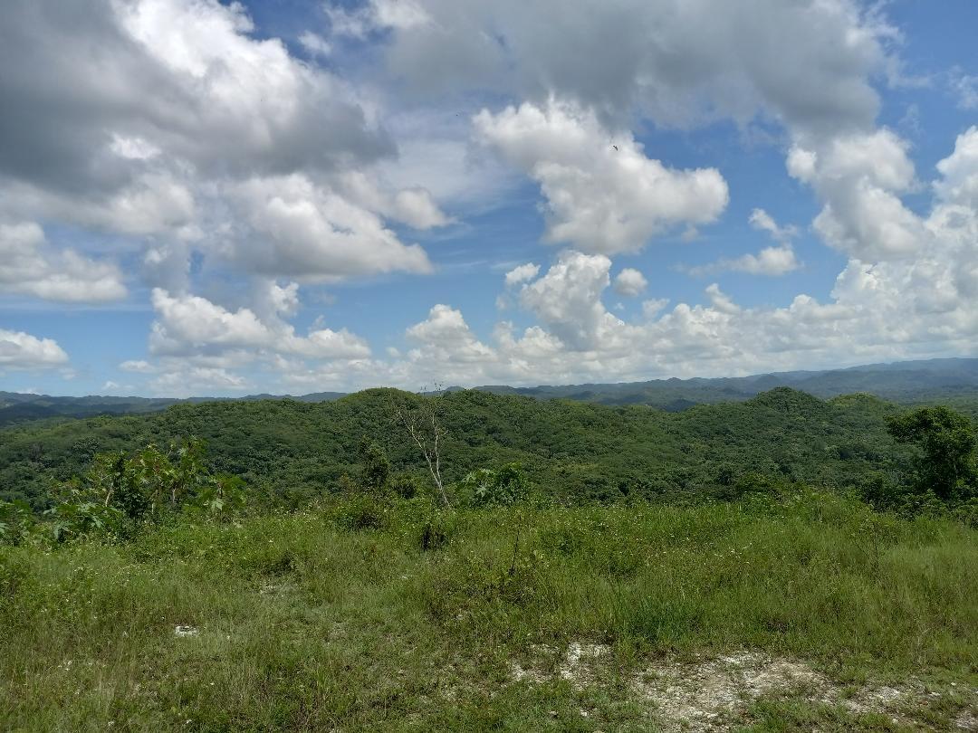 Fourteenth image of Copse, Lethe in Lethe, Hanover, Jamaica - property is For Sale