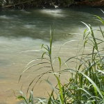 First image of Copse, Lethe in Lethe, Hanover, Jamaica - property is For Sale