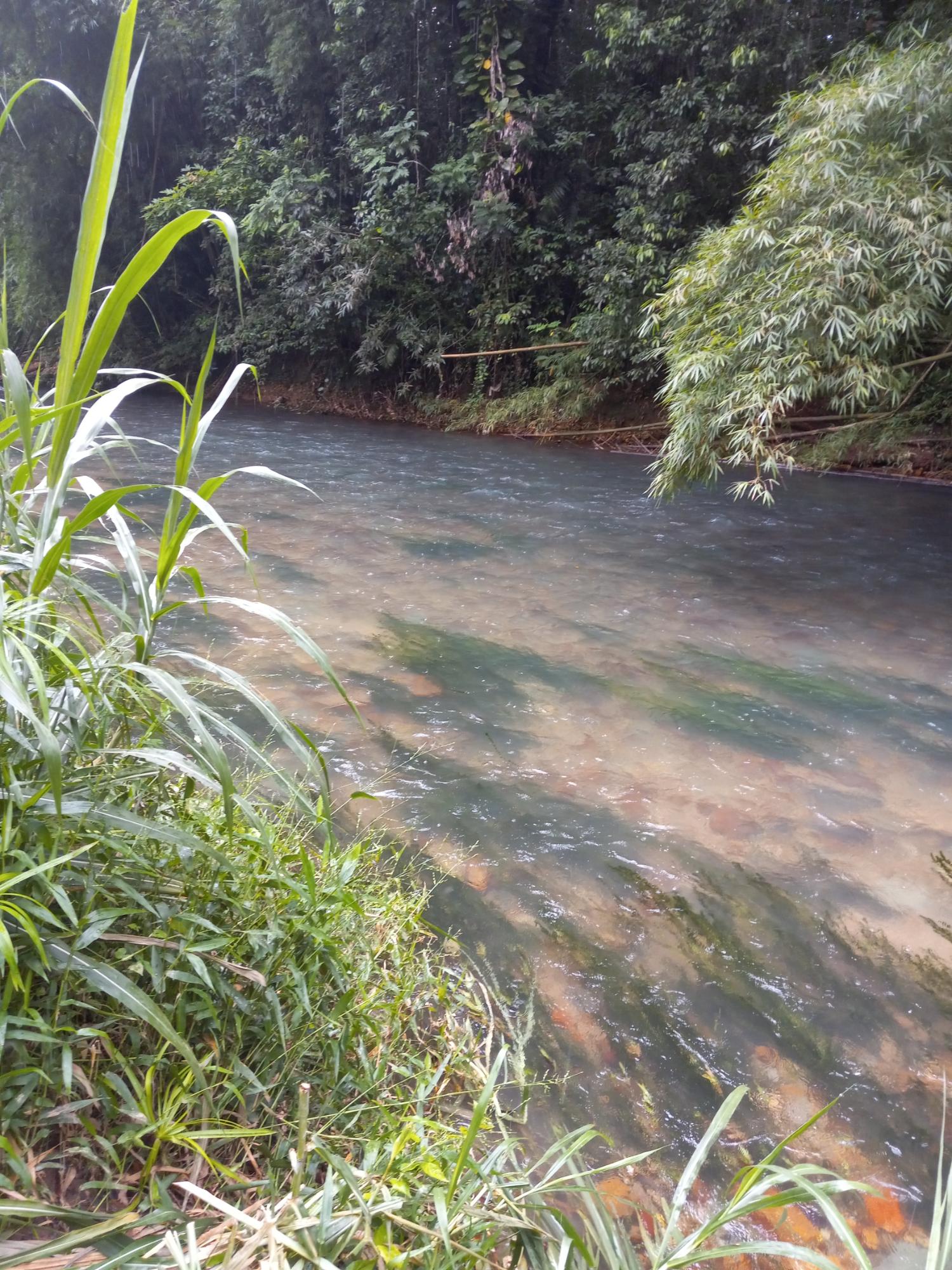 Seventeenth image of Copse, Lethe in Lethe, Hanover, Jamaica - property is For Sale