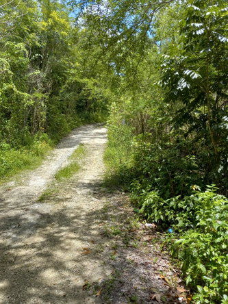 Third image of Copse, Lethe in Lethe, Hanover, Jamaica - property is For Sale