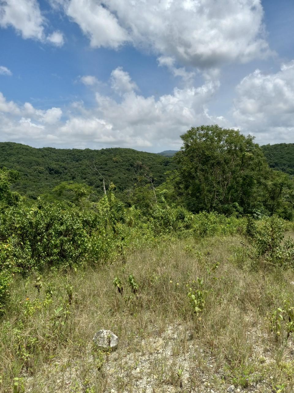 Fifth image of Copse, Lethe in Lethe, Hanover, Jamaica - property is For Sale