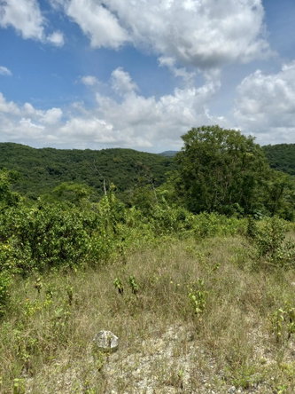 Fifth image of Copse, Lethe in Lethe, Hanover, Jamaica - property is For Sale