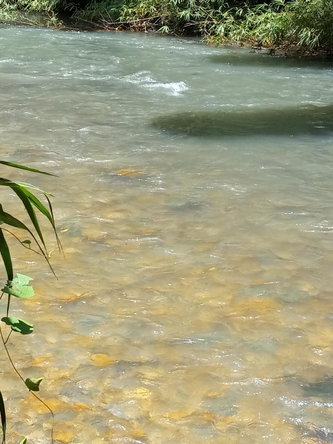 Seventh image of Copse, Lethe in Lethe, Hanover, Jamaica - property is For Sale