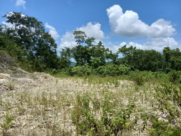 Ninth image of Copse, Lethe in Lethe, Hanover, Jamaica - property is For Sale