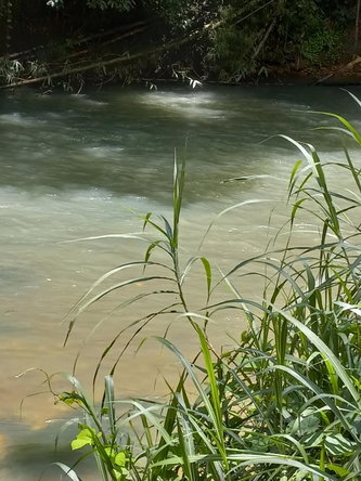 First image of Copse, Lethe in Lethe, Hanover, Jamaica - property is For Sale