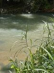 First image of Copse, Lethe in Lethe, Hanover, Jamaica - property is For Sale