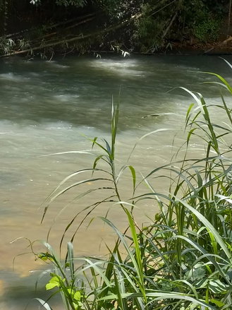 First image of Copse, Lethe in Lethe, Hanover, Jamaica - property is For Sale