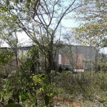 First image of Land P/o Naseberry Grove in Spanish Town, St. Catherine, Jamaica - property is For Sale