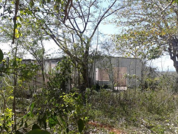 First image of Land P/o Naseberry Grove in Spanish Town, St. Catherine, Jamaica - property is For Sale