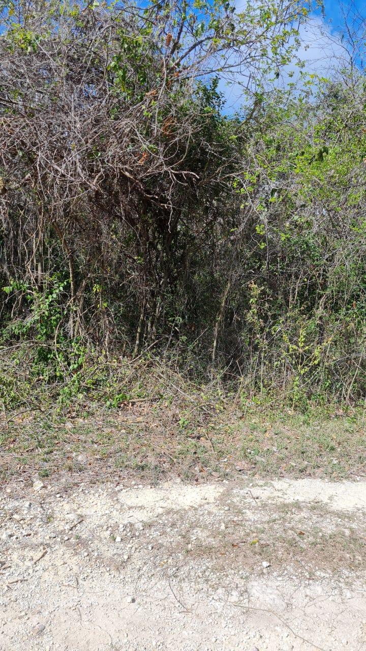Seventh image of 74 Pitkelleney in Negril, Westmoreland, Jamaica - property is For Sale
