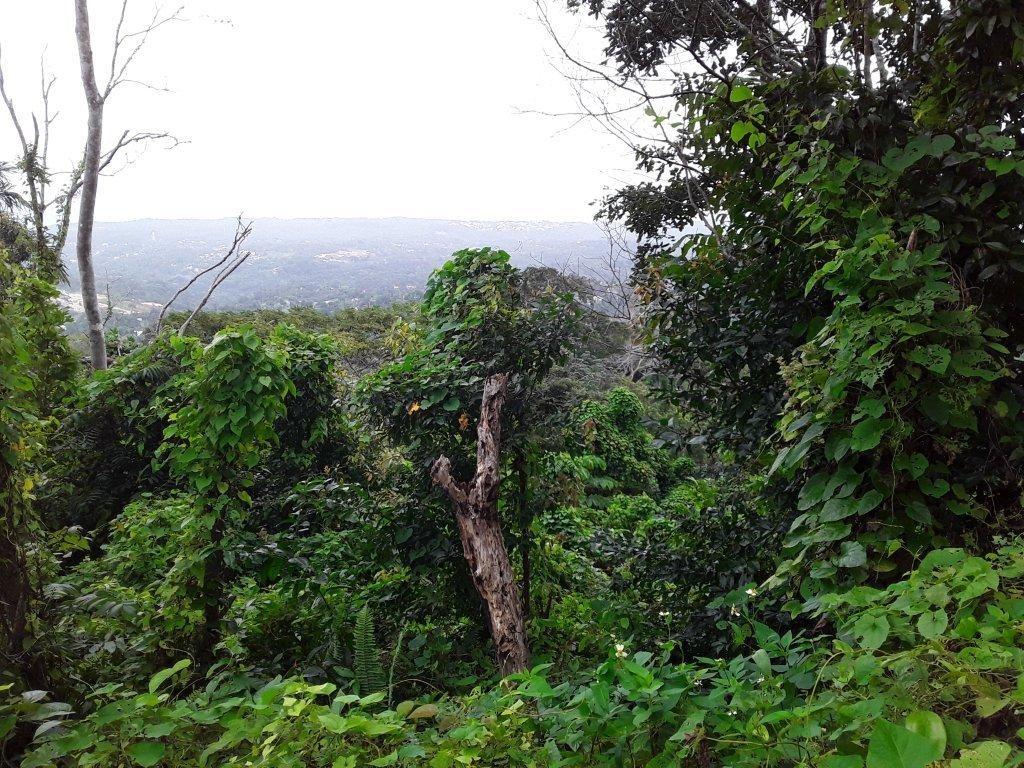 Fourth image of New Hope in Ocho Rios, St. Ann, Jamaica - property is For Sale
