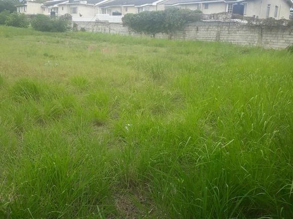 Third image of 2 Kingsway,kingsway,kg10 in Kingston 10, St. Andrew, Jamaica - property is For Sale