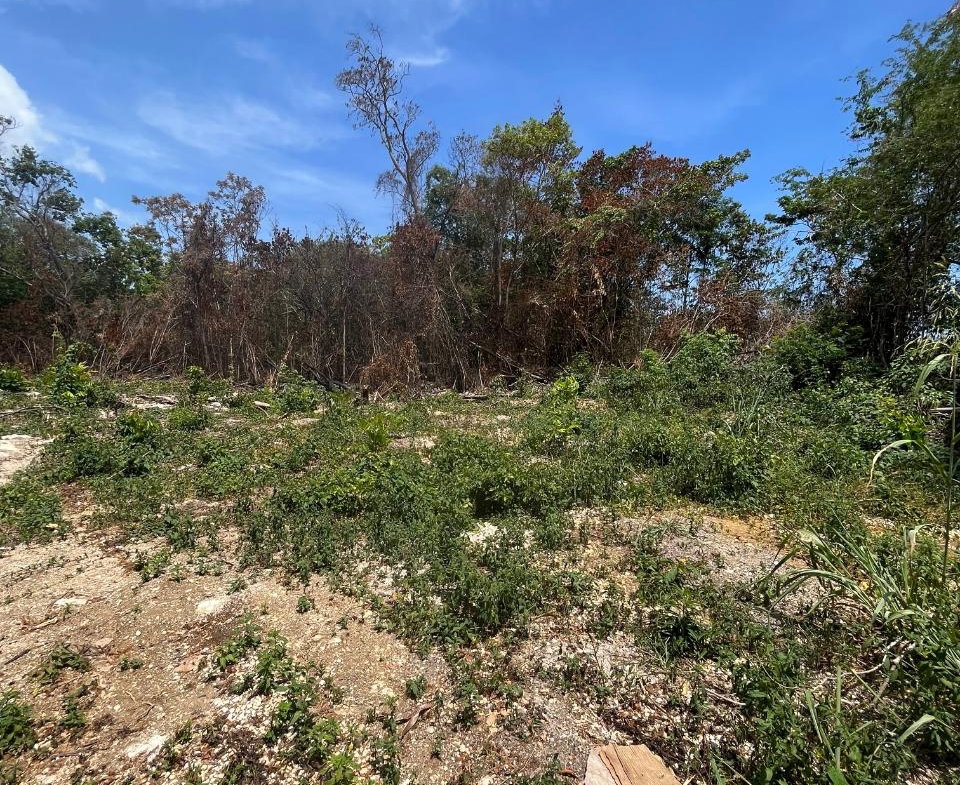 Sixth image of 2 Bouganvillea Drive in Ocho Rios, St. Ann, Jamaica - property is For Sale