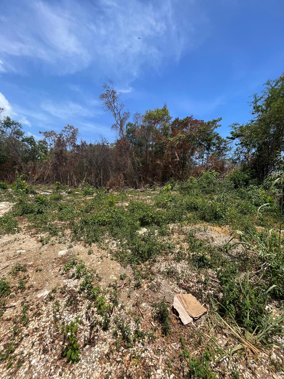 Sixth image of 2 Bouganvillea Drive in Ocho Rios, St. Ann, Jamaica - property is For Sale