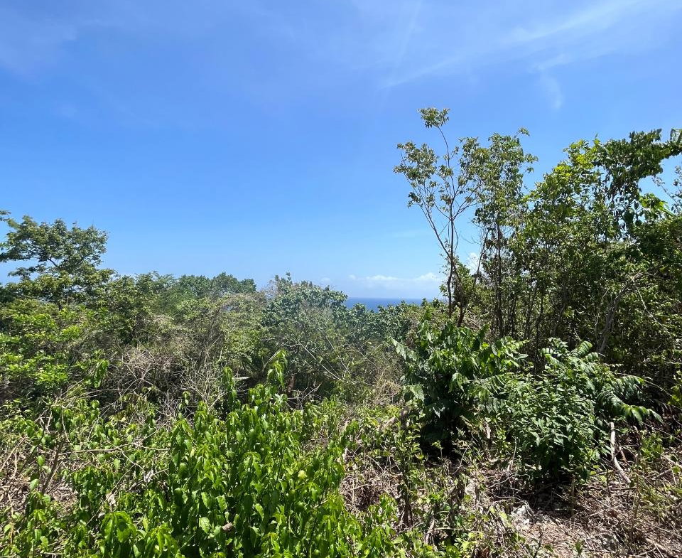 Seventh image of 2 Bouganvillea Drive in Ocho Rios, St. Ann, Jamaica - property is For Sale