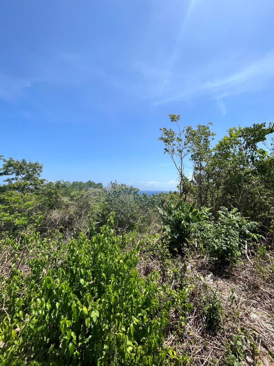 Seventh image of 2 Bouganvillea Drive in Ocho Rios, St. Ann, Jamaica - property is For Sale