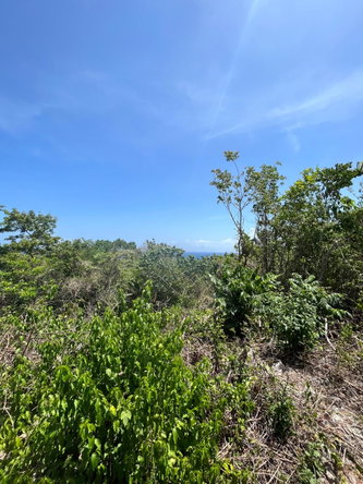 Seventh image of 2 Bouganvillea Drive in Ocho Rios, St. Ann, Jamaica - property is For Sale