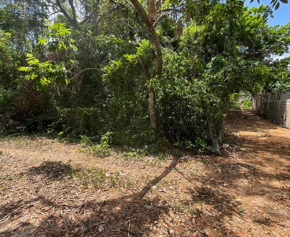 Ninth image of 2 Bouganvillea Drive in Ocho Rios, St. Ann, Jamaica - property is For Sale