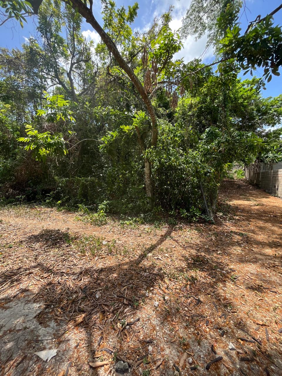 Ninth image of 2 Bouganvillea Drive in Ocho Rios, St. Ann, Jamaica - property is For Sale