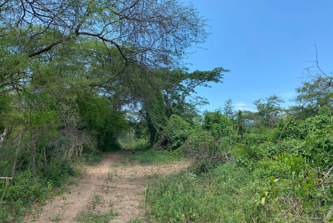 First image of 36a Bushy Park in Old Harbour, St. Catherine, Jamaica - property is For Sale