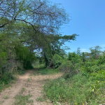 First image of 36a Bushy Park in Old Harbour, St. Catherine, Jamaica - property is For Sale
