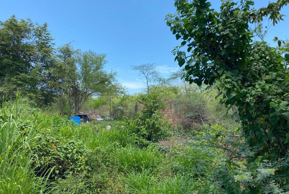 Third image of 36a Bushy Park in Old Harbour, St. Catherine, Jamaica - property is For Sale