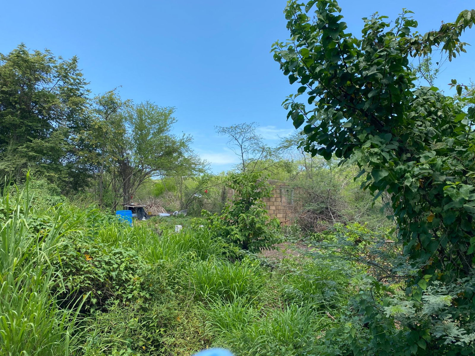 Prime-Development-Land-for-Sale-in-Old-Harbour-23-Acres Third image of 36a Bushy Park in Old Harbour, St. Catherine, Jamaica - property is For Sale
