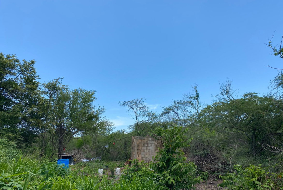Fourth image of 36a Bushy Park in Old Harbour, St. Catherine, Jamaica - property is For Sale