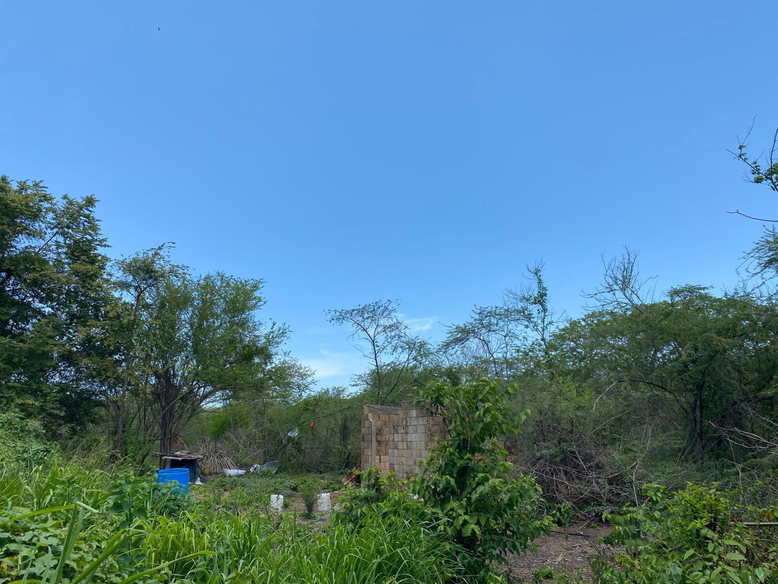 Prime-Development-Land-for-Sale-in-Old-Harbour-23-Acres Fourth image of 36a Bushy Park in Old Harbour, St. Catherine, Jamaica - property is For Sale