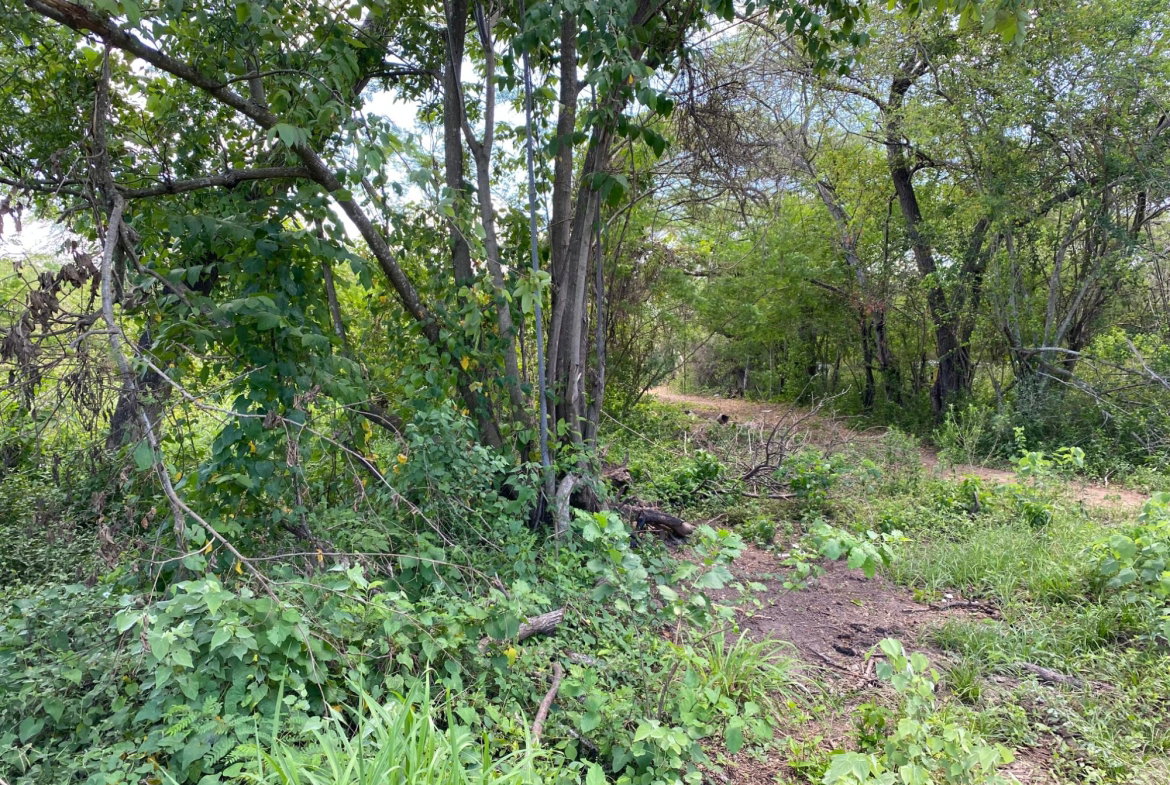 Fifth image of 36a Bushy Park in Old Harbour, St. Catherine, Jamaica - property is For Sale
