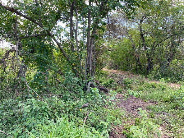 Fifth image of 36a Bushy Park in Old Harbour, St. Catherine, Jamaica - property is For Sale