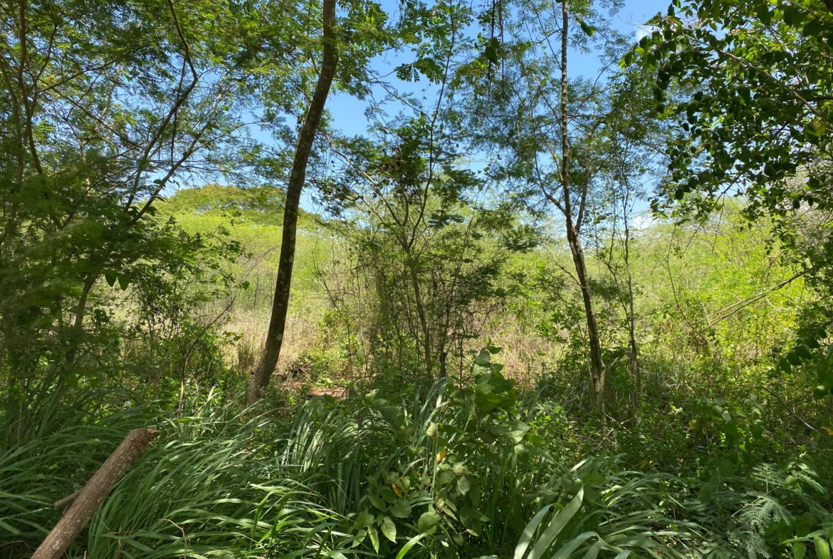 Sixth image of 36a Bushy Park in Old Harbour, St. Catherine, Jamaica - property is For Sale