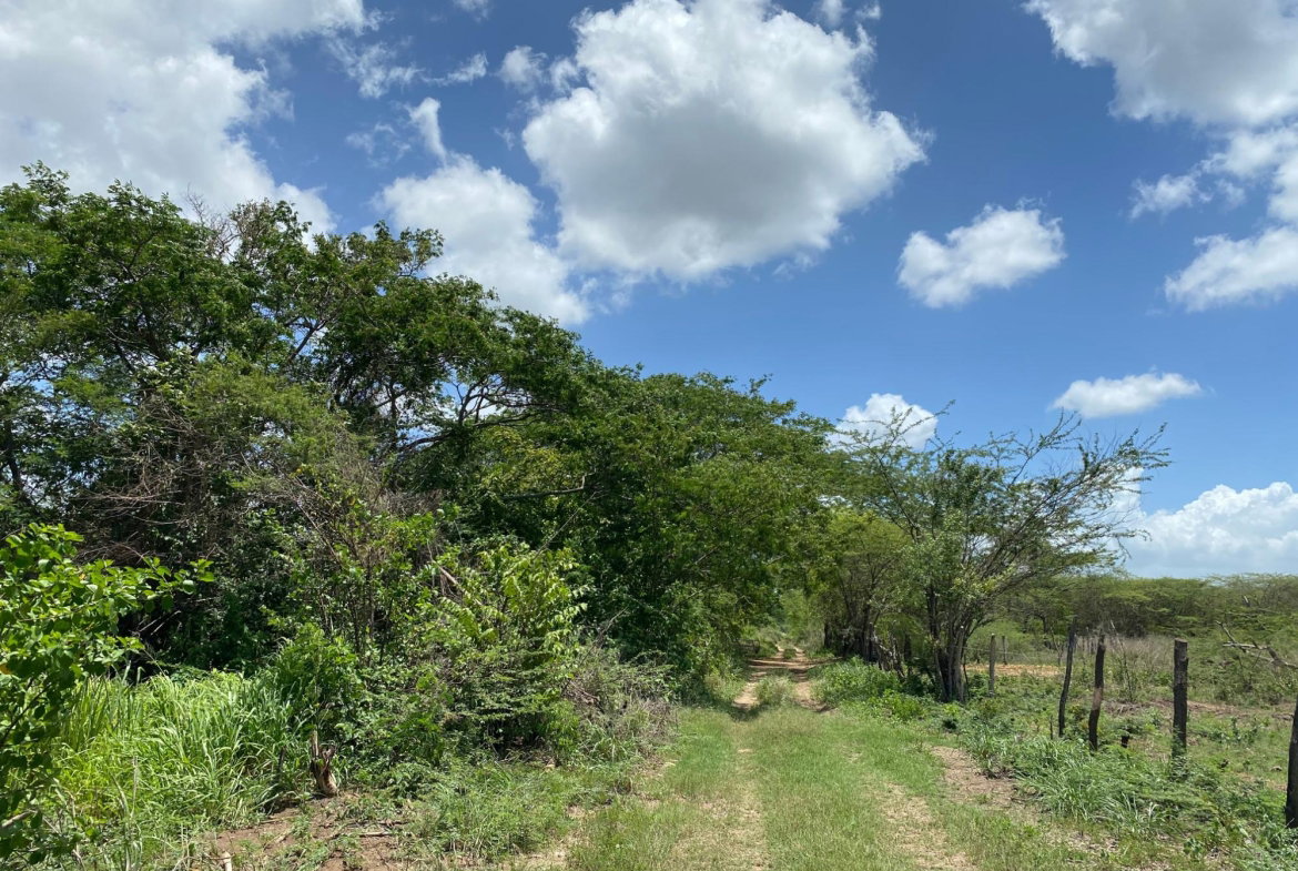 Seventh image of 36a Bushy Park in Old Harbour, St. Catherine, Jamaica - property is For Sale