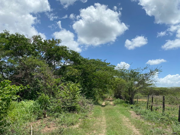 Seventh image of 36a Bushy Park in Old Harbour, St. Catherine, Jamaica - property is For Sale