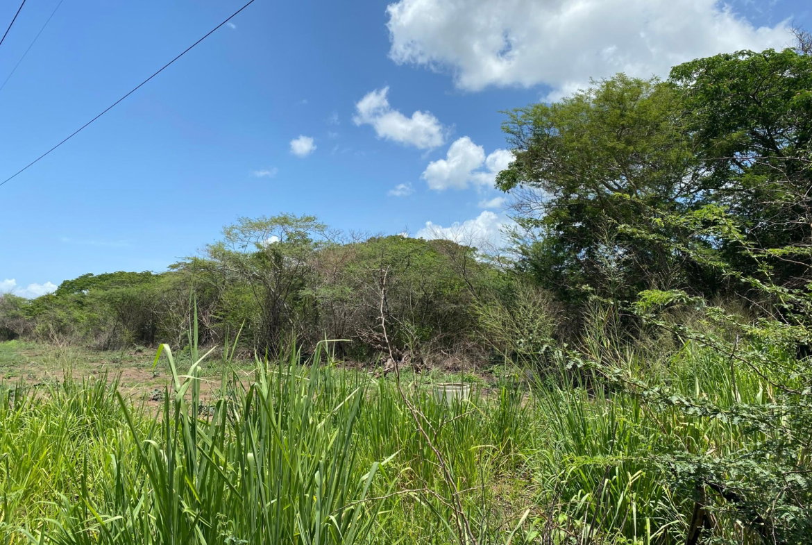 Eighth image of 36a Bushy Park in Old Harbour, St. Catherine, Jamaica - property is For Sale