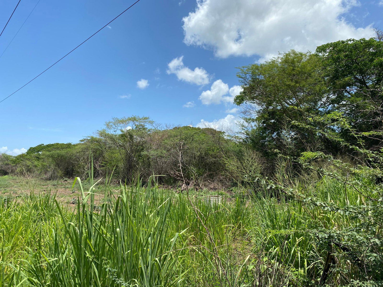 Prime-Development-Land-for-Sale-in-Old-Harbour-23-Acres Eighth image of 36a Bushy Park in Old Harbour, St. Catherine, Jamaica - property is For Sale