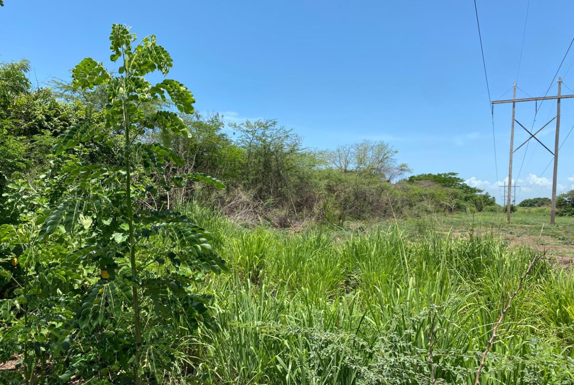 Ninth image of 36a Bushy Park in Old Harbour, St. Catherine, Jamaica - property is For Sale
