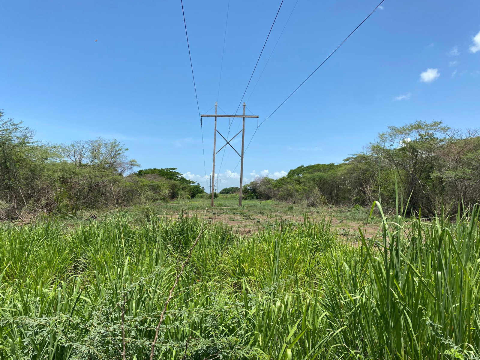 Prime-Development-Land-for-Sale-in-Old-Harbour-23-Acres Tenth image of 36a Bushy Park in Old Harbour, St. Catherine, Jamaica - property is For Sale