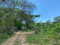 First image of 36a Bushy Park in Old Harbour, St. Catherine, Jamaica - property is For Sale