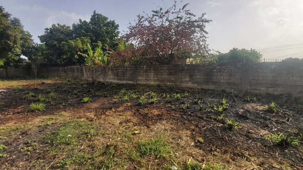 Second image of 1 Lockhart Ave in Patrick City, St. Andrew, Jamaica - property is For Sale