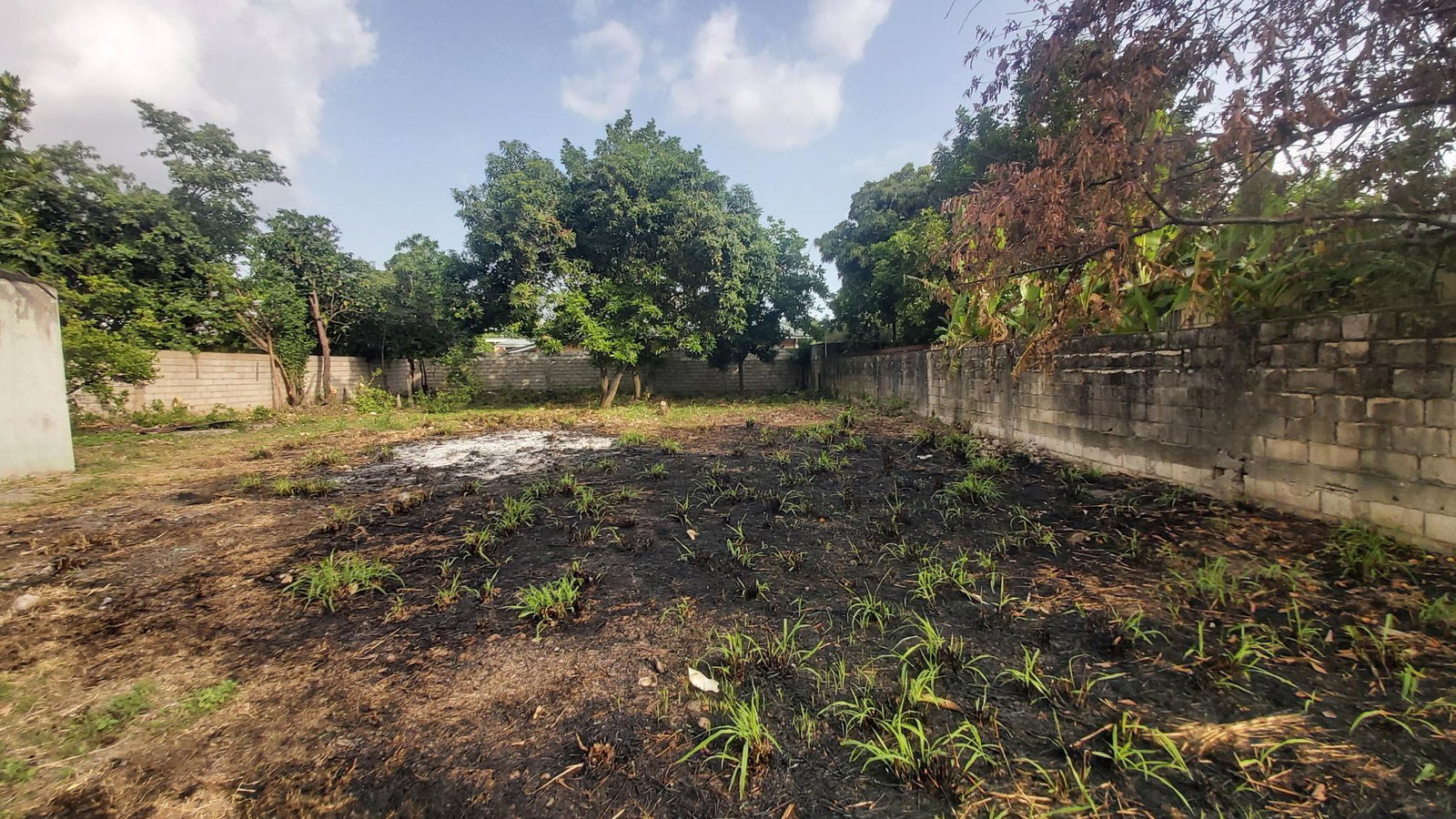 Third image of 1 Lockhart Ave in Patrick City, St. Andrew, Jamaica - property is For Sale