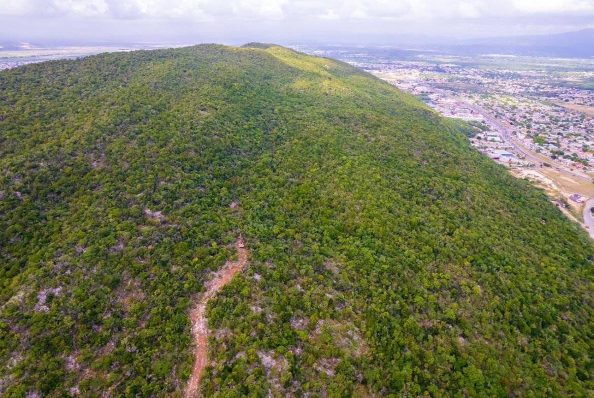 Second image of Land at Port Henderson in Port Henderson, St. Catherine, Jamaica - property is For Sale