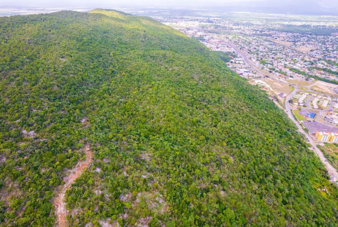 Eleventh image of Land at Port Henderson in Port Henderson, St. Catherine, Jamaica - property is For Sale