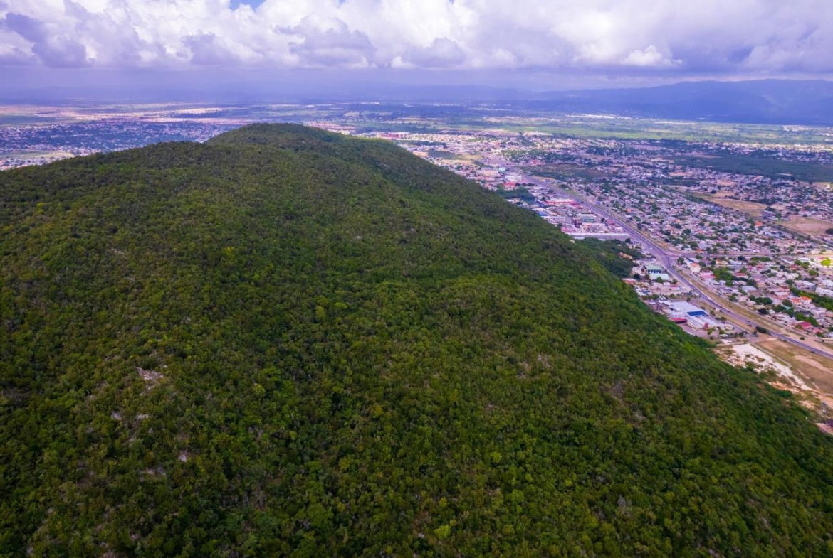 Twelfth image of Land at Port Henderson in Port Henderson, St. Catherine, Jamaica - property is For Sale