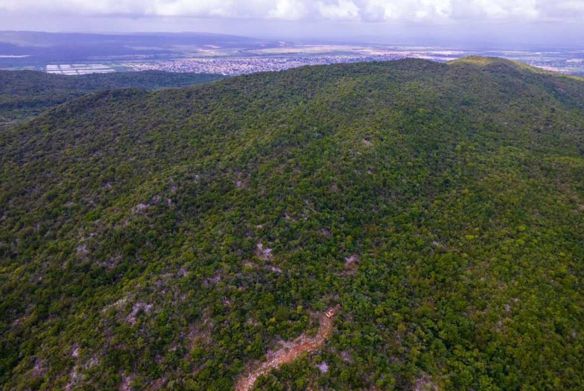 Thirteenth image of Land at Port Henderson in Port Henderson, St. Catherine, Jamaica - property is For Sale