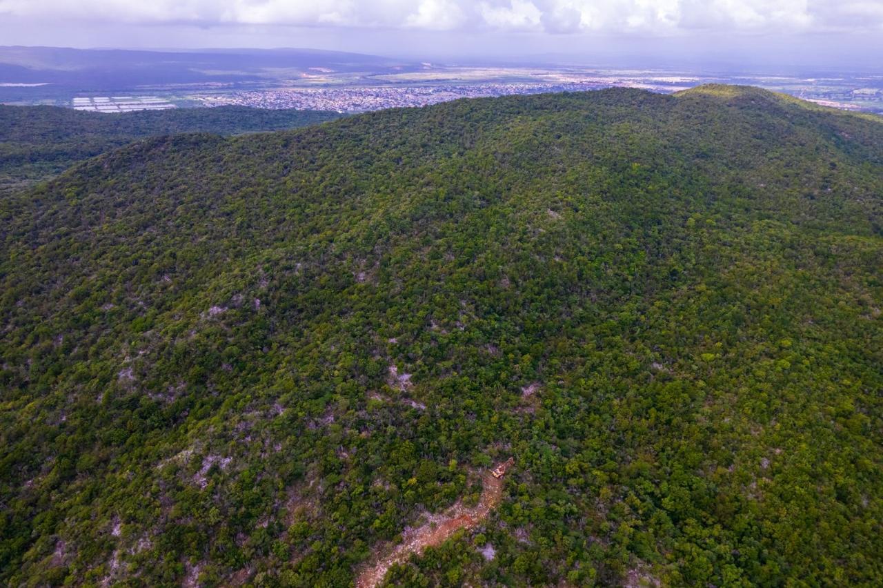Thirteenth image of Land at Port Henderson in Port Henderson, St. Catherine, Jamaica - property is For Sale