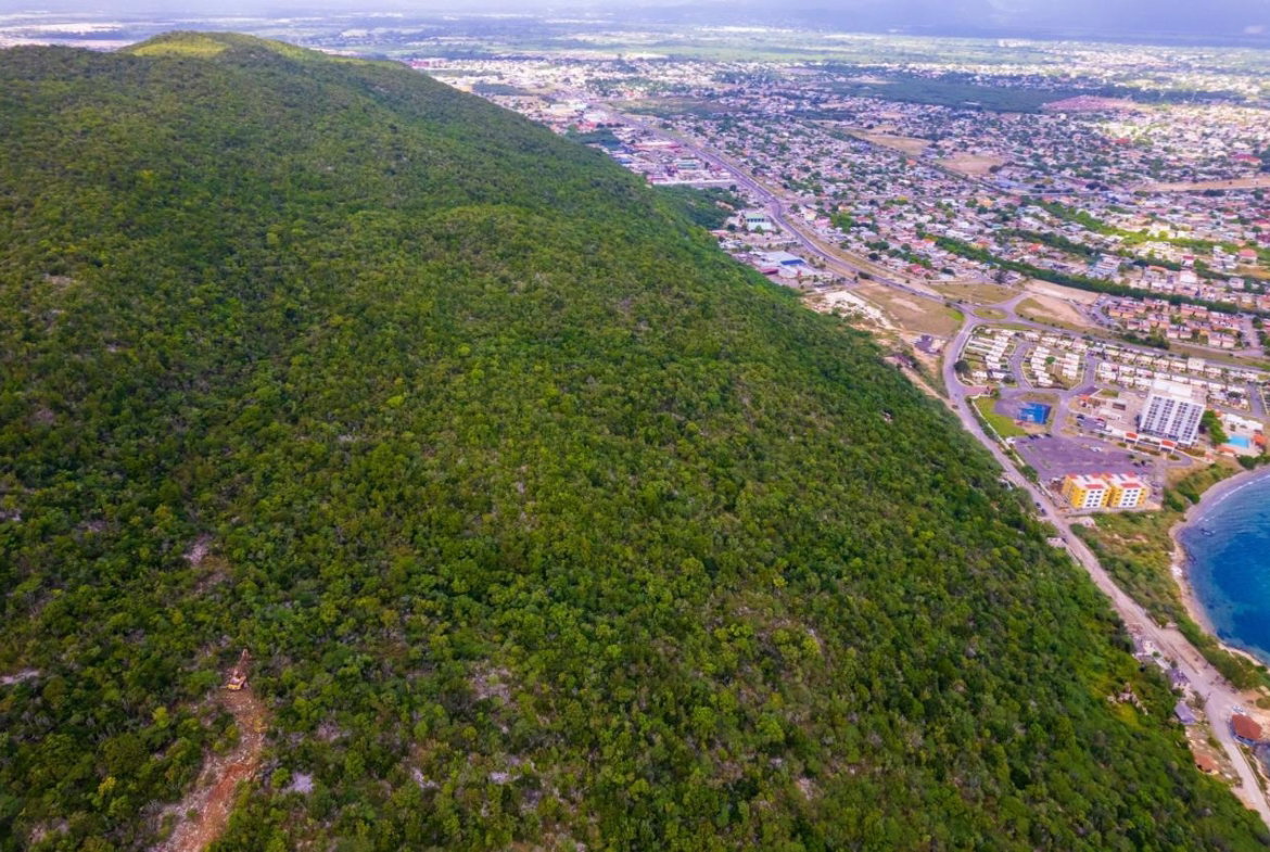 Fifteenth image of Land at Port Henderson in Port Henderson, St. Catherine, Jamaica - property is For Sale