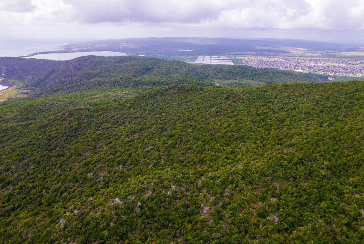Sixteenth image of Land at Port Henderson in Port Henderson, St. Catherine, Jamaica - property is For Sale