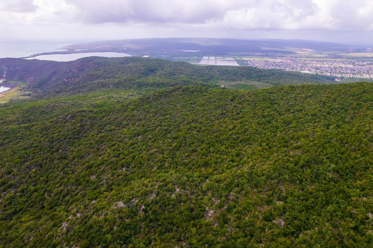 Sixteenth image of Land at Port Henderson in Port Henderson, St. Catherine, Jamaica - property is For Sale
